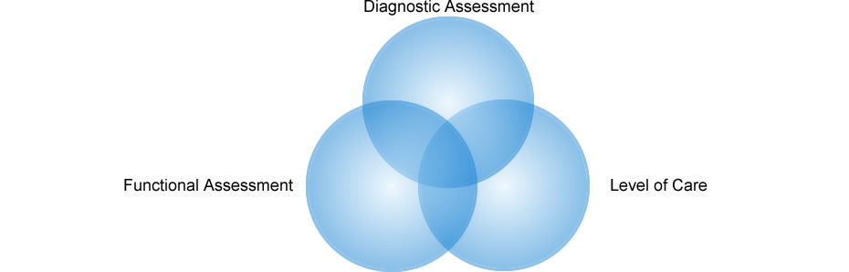 Three circles overlapping with Diagnostic Assessment, Level of Care, and Functional Assessment